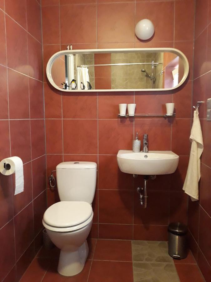 Dom Sztuk - House Of Arts Apartman Międzyrzecz Kültér fotó